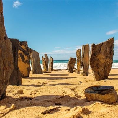 乐享8214CC官方下载