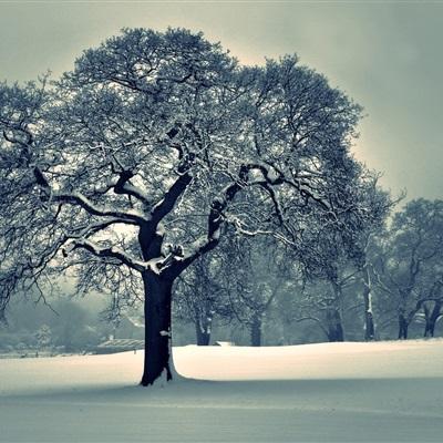 中欧体育app下载官网