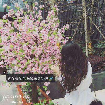 云开·体育官方网站